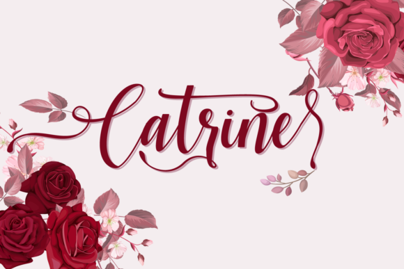 Catrine: The Handwritten Font for Scroll-Stopping Brand Content