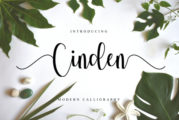 Cinden: The Handwritten Font That Elevates Your Brand