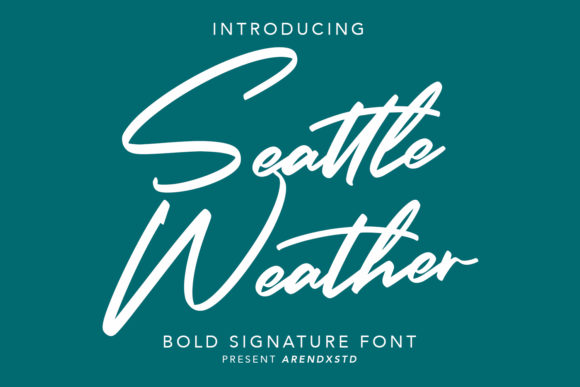 Seattle Weather: A Script Amp Review for Designers