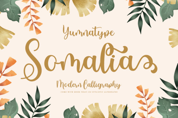 Somalia Font: Elevating Editorial Design with Flow